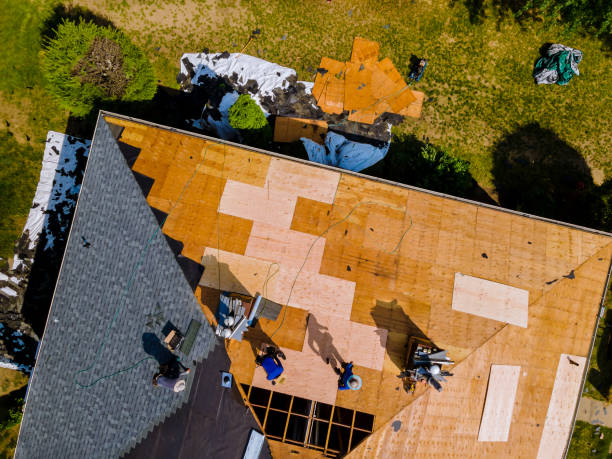 Best Roof Gutter Cleaning  in Salmon Creek, WA